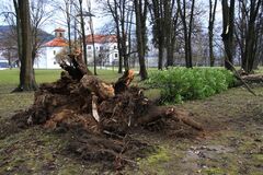 Pre búrlivý vietor sú mnohé domácnosti na severe Slovenska bez elektriky, výstrahy platia až do zajtrajšieho dňa